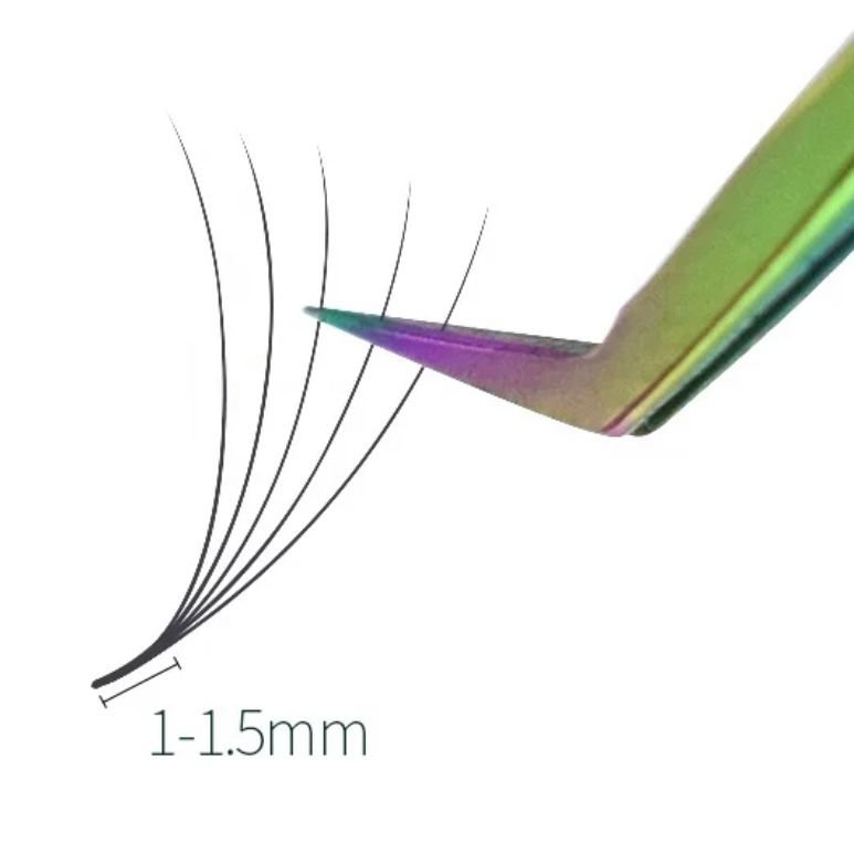 cils 5d