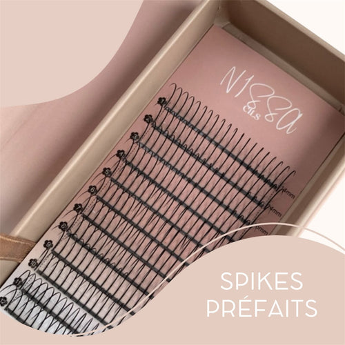 Spikes Préfaits - 240 pièces - Pose Wispy, Kim K, Wet set